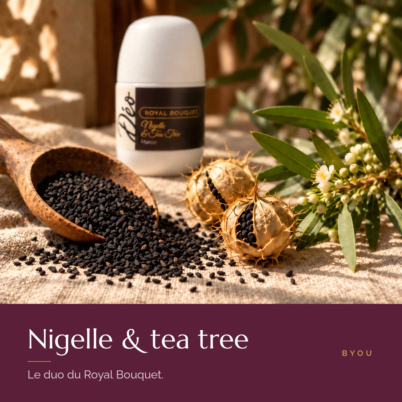 Graines de nigelle et fleurs de tea tree, ingrédients du déodorant Royal Bouquet