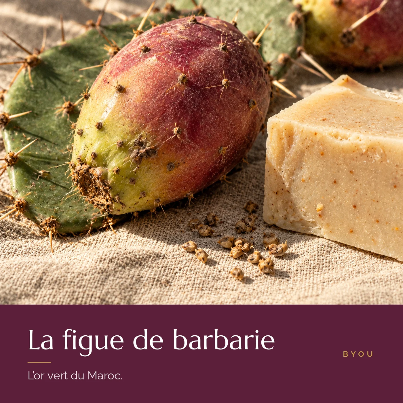 Figue de barbarie fraîche et savon artisanal, l’or vert du Maroc
